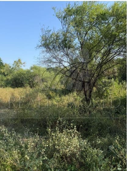 Terrenos en Venta en El Alamito