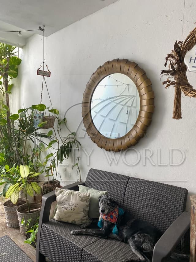 Casas en Venta en Los Olivos