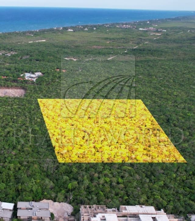 Terrenos en Venta en Sin Colonia