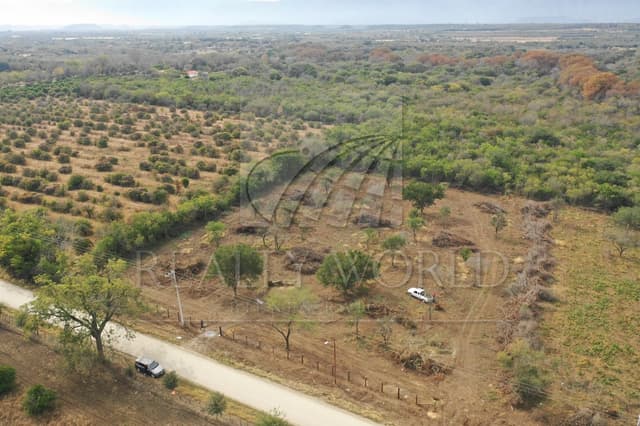 Terrenos en Venta en Montemorelos Centro