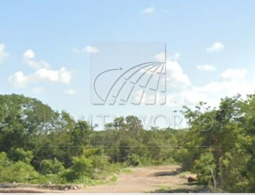 Terrenos en Venta en Sin Colonia