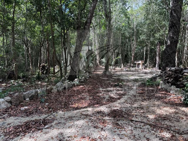 Terrenos en Venta en Puerto Morelos