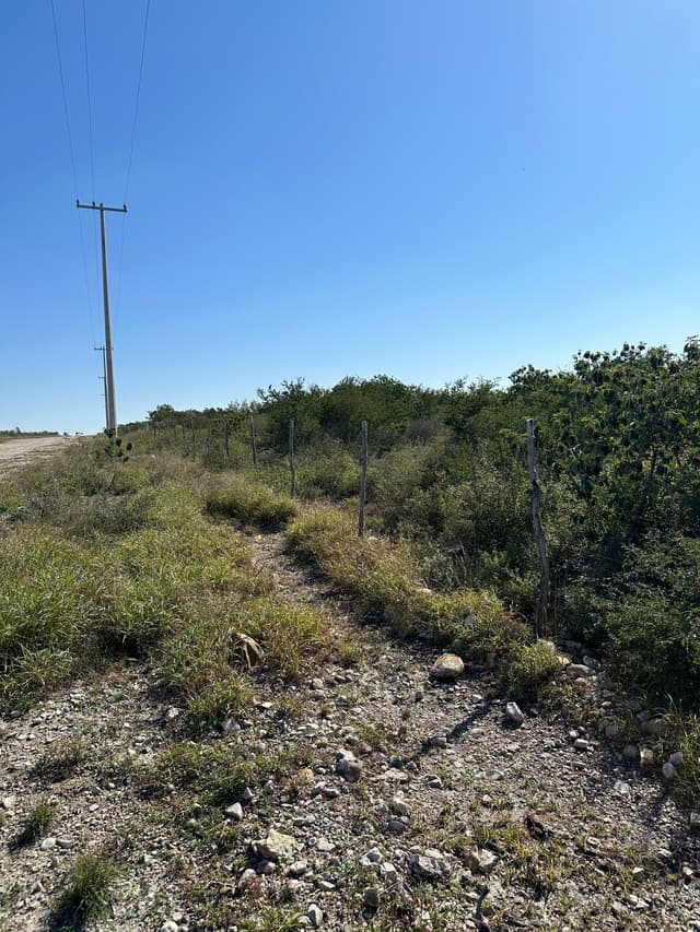 Terrenos en Venta en Ladrillera