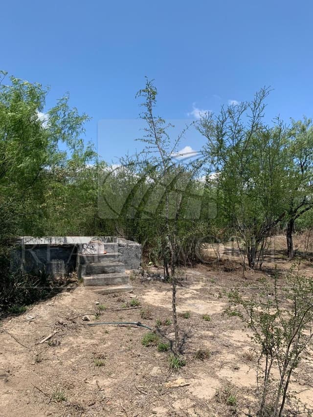 Terrenos en Venta en Zacatecas