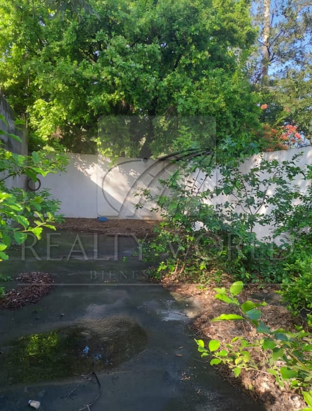 Terrenos en Renta en Centro Apodaca