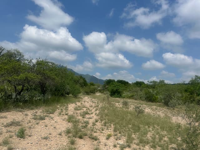 Terrenos en Venta en Valle de los Angeles