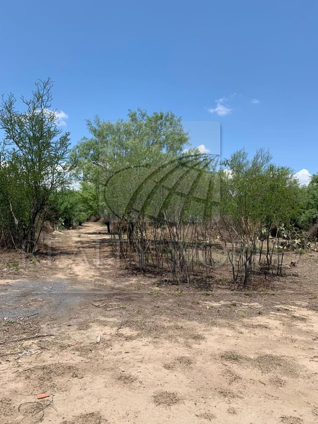 Terrenos en Venta en Zacatecas