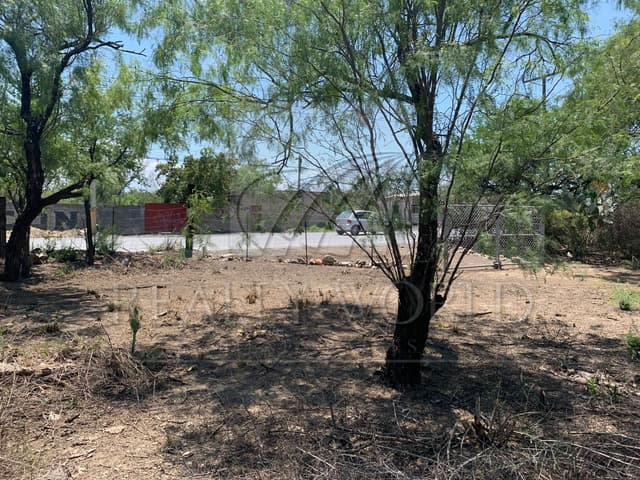 Terrenos en Venta en Zacatecas