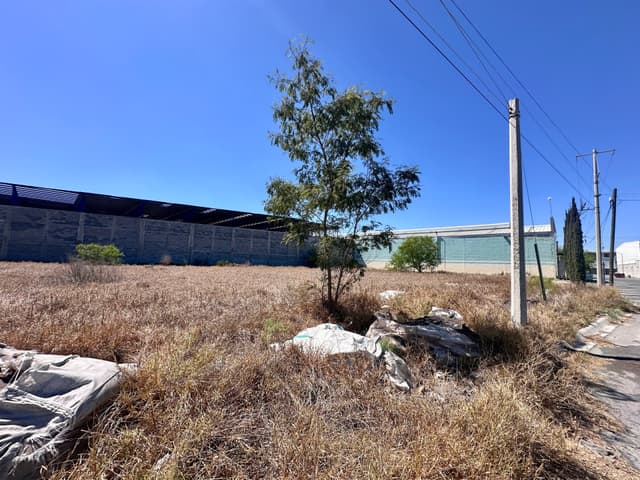 Terrenos en Renta en Valle del Norte