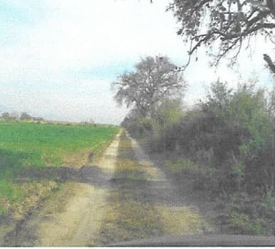 Fotos adicionales