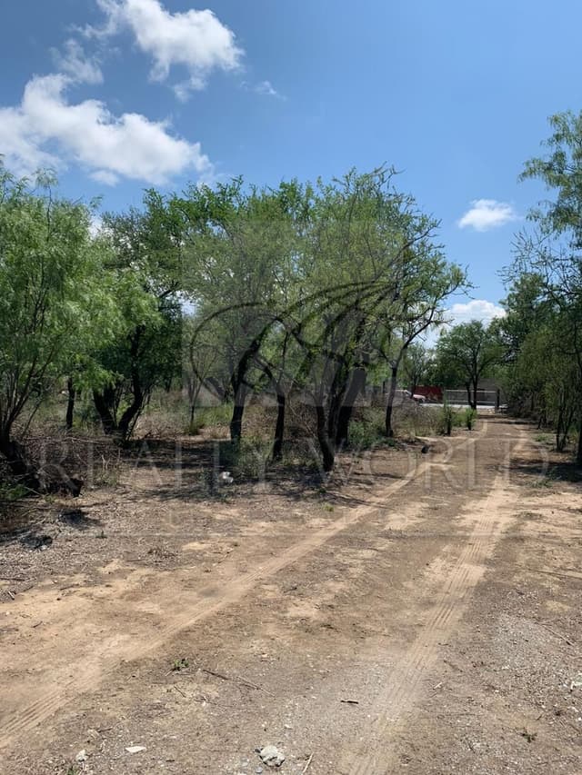 Terrenos en Venta en Zacatecas