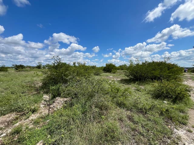 Terrenos en Venta en El Calvario