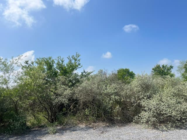 Terrenos en Venta en El Fraile