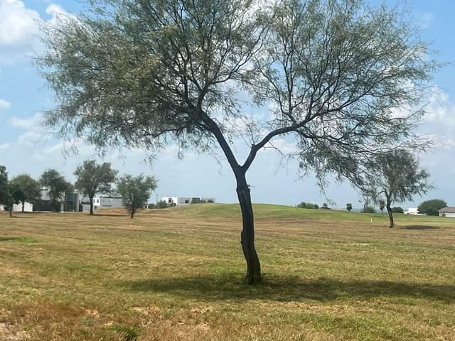 Terrenos en Venta en Las Aves Residencial and Golf Resort