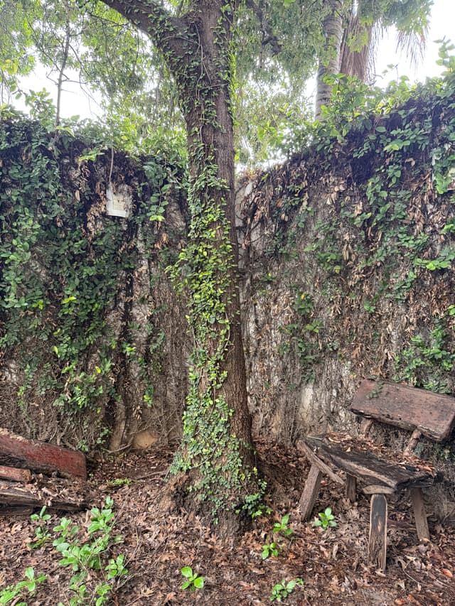 Casas en Venta en Dinastía