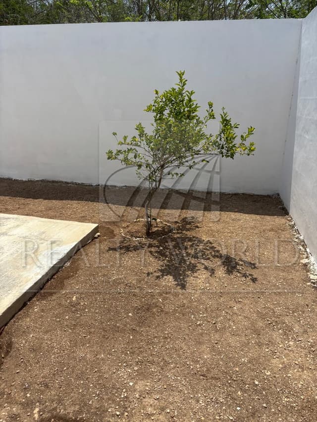 Casas en Venta en Sian Kaan