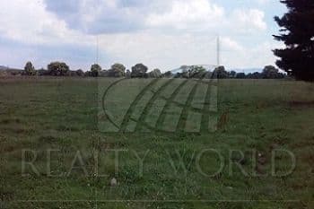 Fotos adicionales