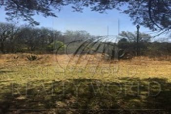 Terrenos en Venta en San Martín Toltepec