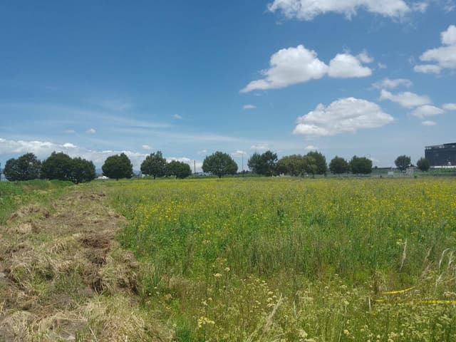 Terrenos en Renta en San Miguel Totocuitlapilco