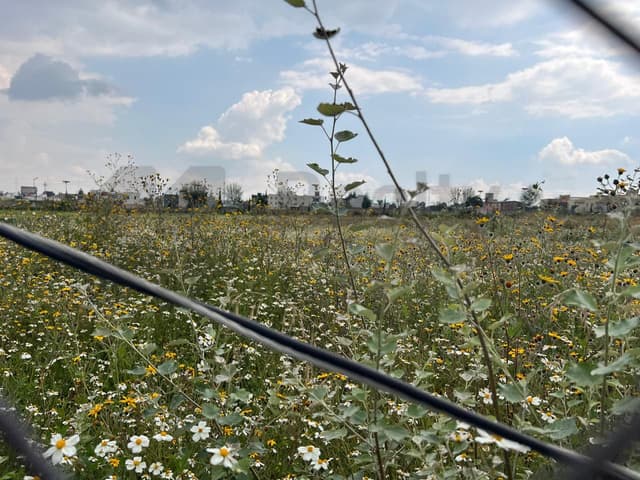 Terrenos en Venta en Santa Cruz