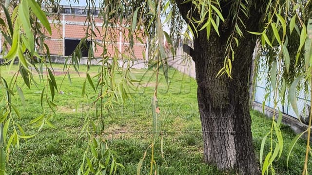 Terrenos en Venta en San Luis Mextepec