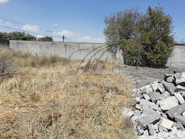 Terrenos en Venta en Lázaro Cárdenas