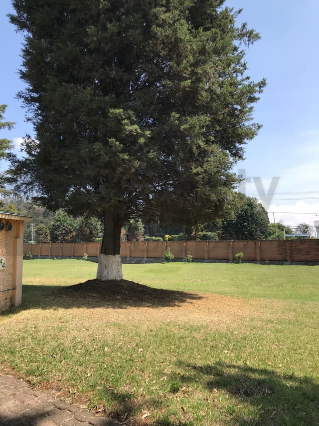 Terrenos en Venta en San Lorenzo Coacalco