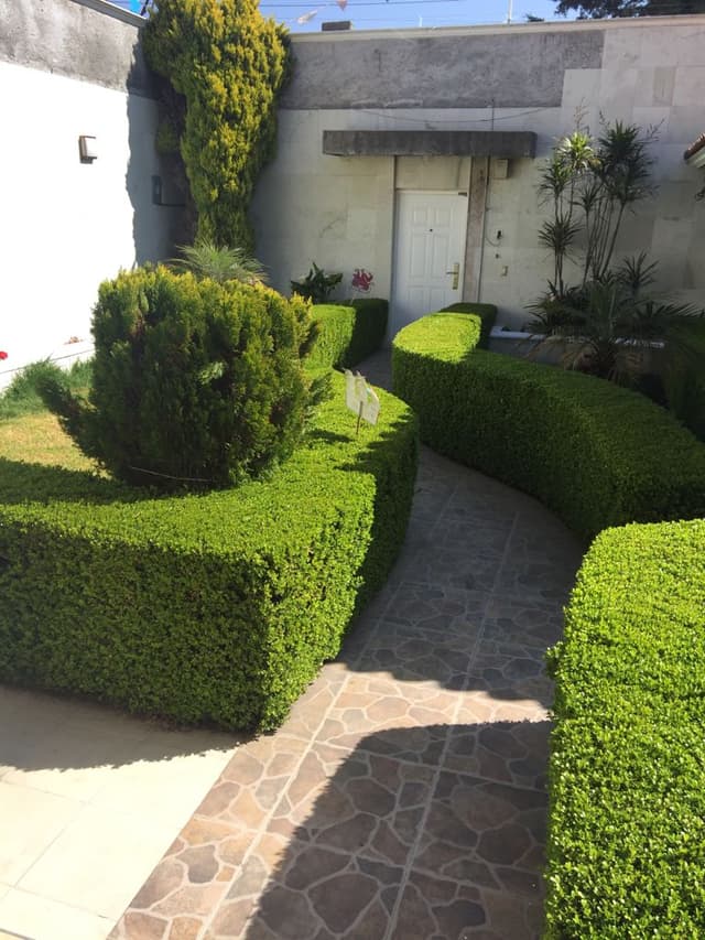 Casas en Venta en La Asunción