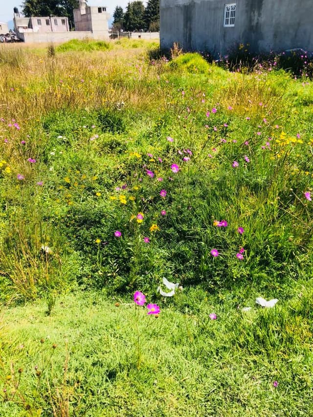 Terrenos en Venta en Arroyo Vista Hermosa