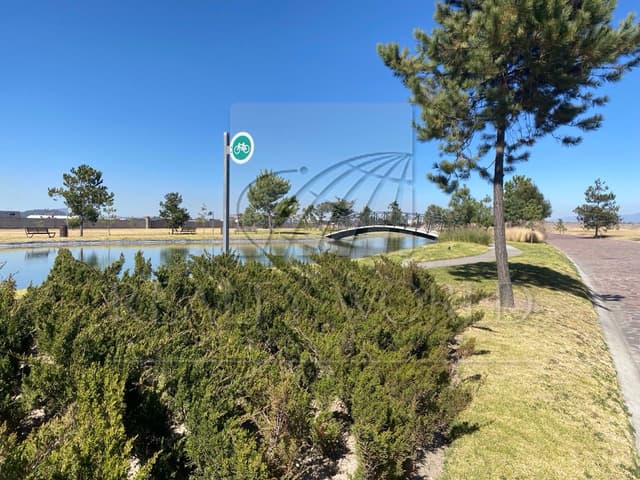 Terrenos en Venta en Fraccionamiento Condado del Valle