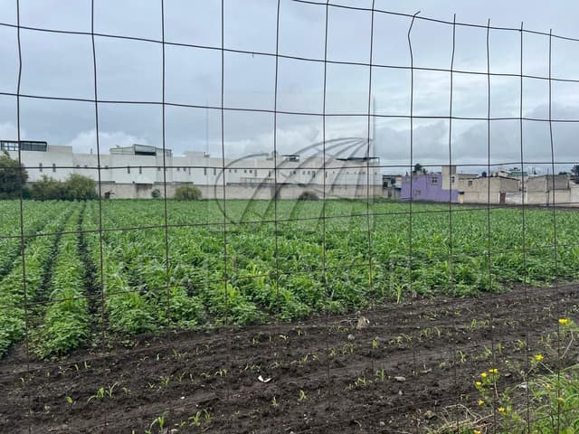 Terrenos en Venta en San Francisco