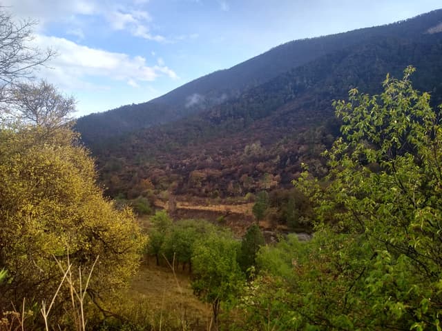 Terrenos en Venta en San Juan de los Dolores