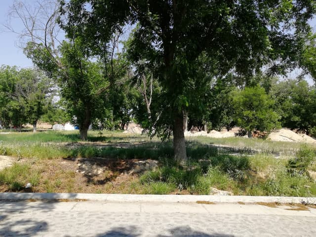 Terrenos en Venta en San Alberto