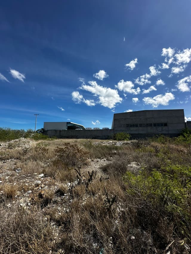 Terrenos en Venta en Arteaga Centro