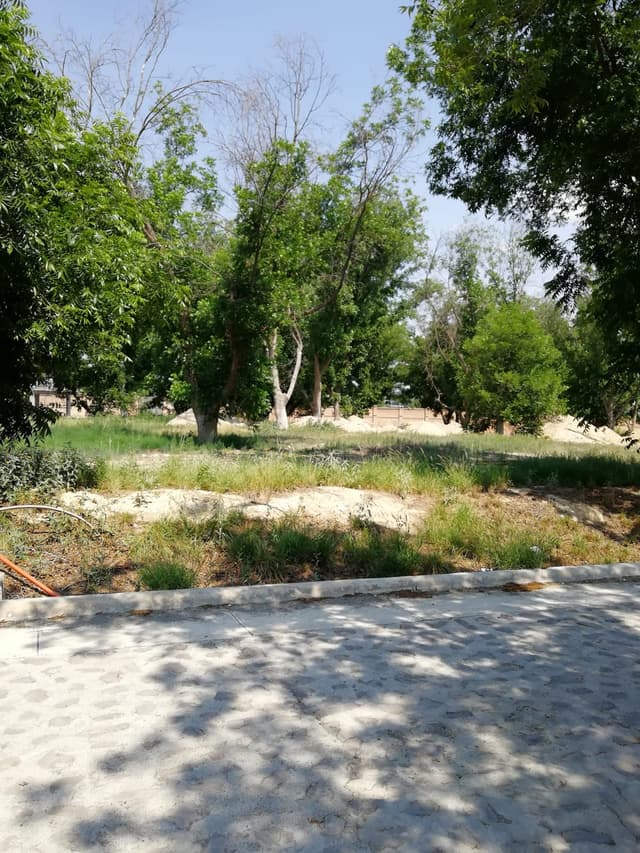 Terrenos en Venta en San Alberto