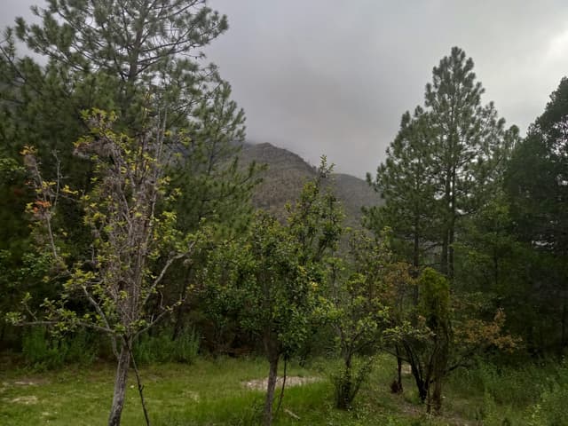 Terrenos en Venta en San Juan de los Dolores