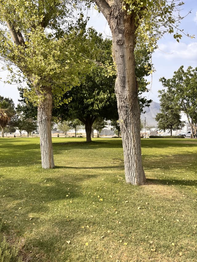 Terrenos en Venta en La Joya