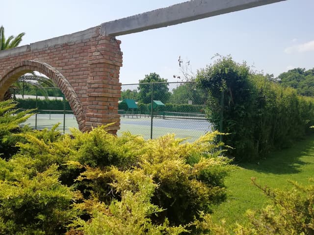 Terrenos en Venta en San Alberto