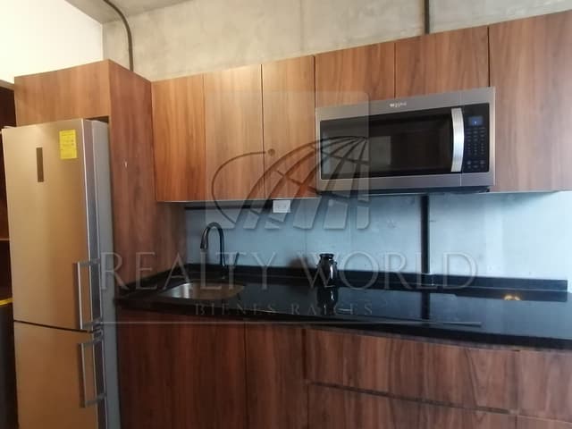 Departamentos en Renta en Centro