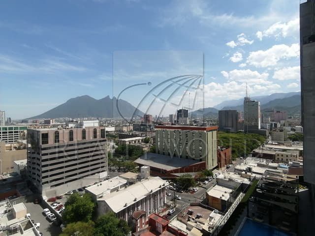 Departamentos en Renta en Centro