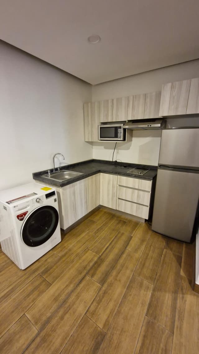 Departamentos en Renta en Centro