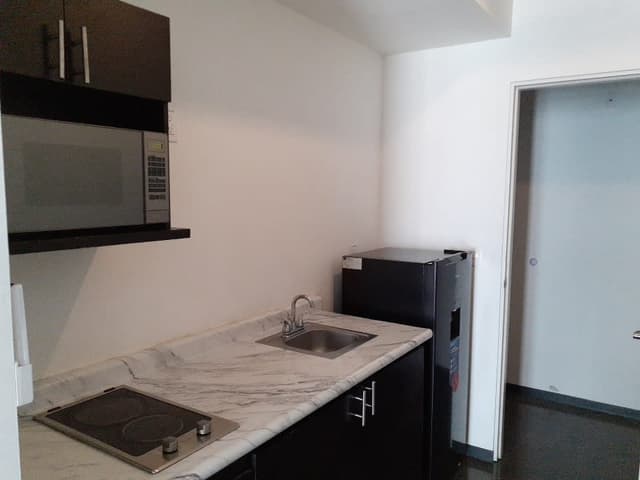 Departamentos en Renta en Centro