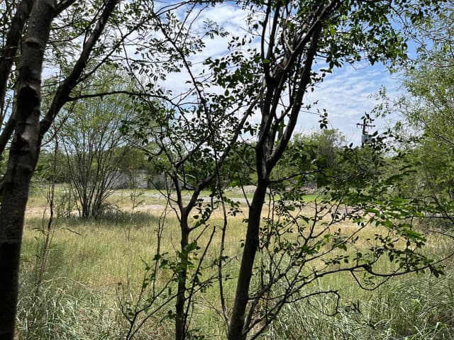 Terrenos en Venta en Del Maestro