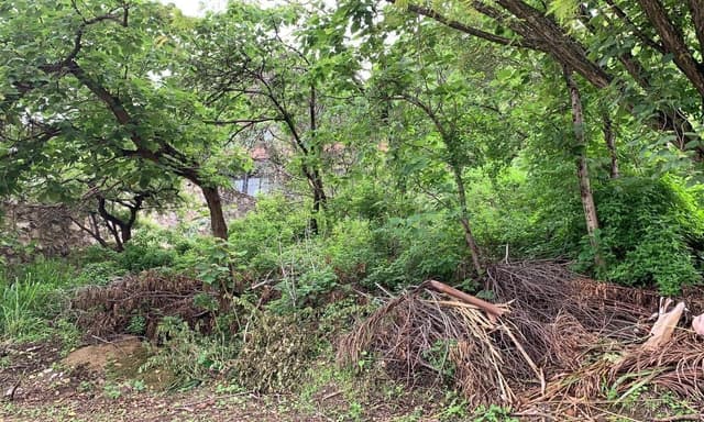 Terreno Residencial en venta en Las Cañadas