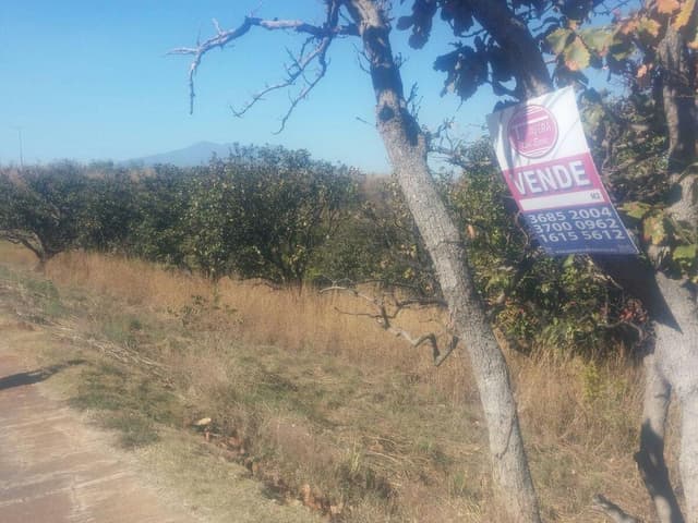 Terreno Residencial en venta en Fraccionamiento Santa Sofía Hacienda Country Club