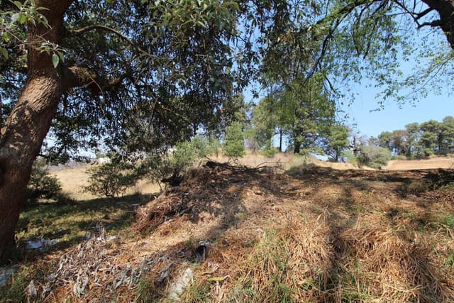 Carretera Toluca Zona Encinos Terreno Desarrolladores