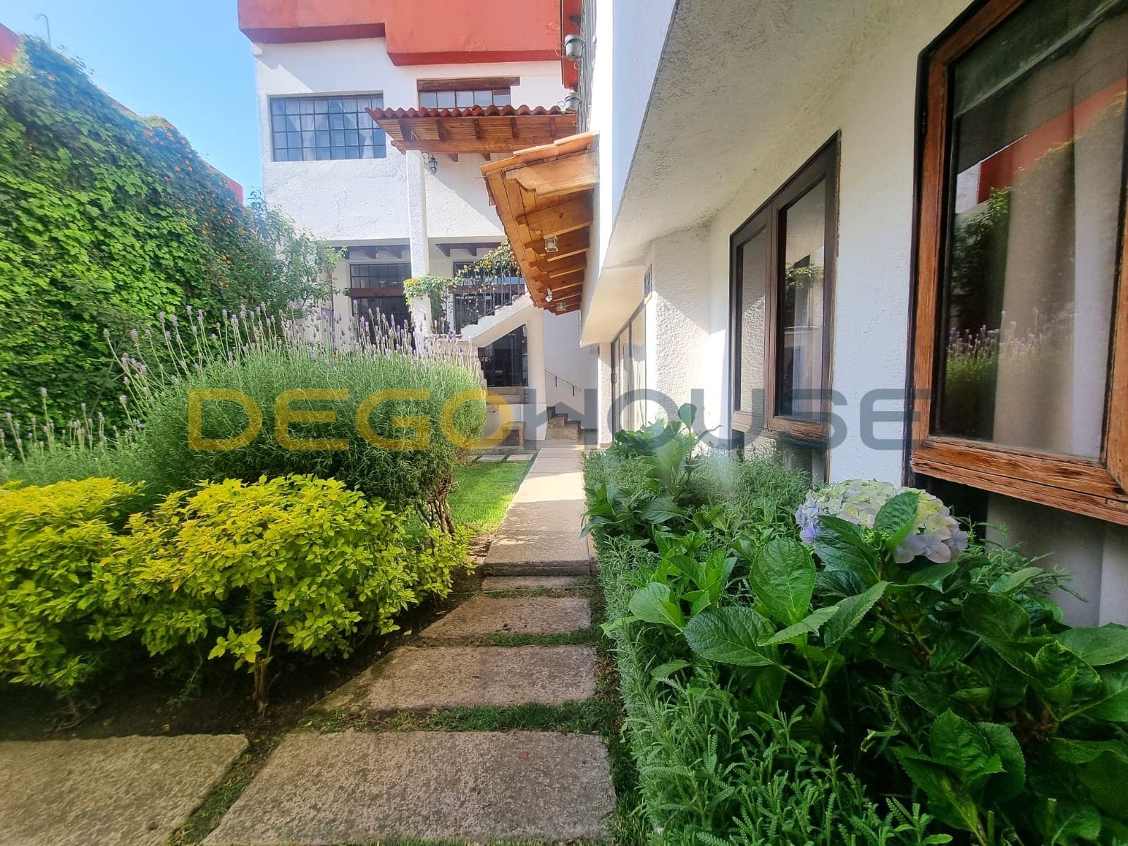 Fotos adicionales