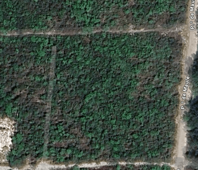 Oportunidad de desarrollo: Terreno de 9,917 m² en Cancún, ideal para proyectos residenciales o comerciales
