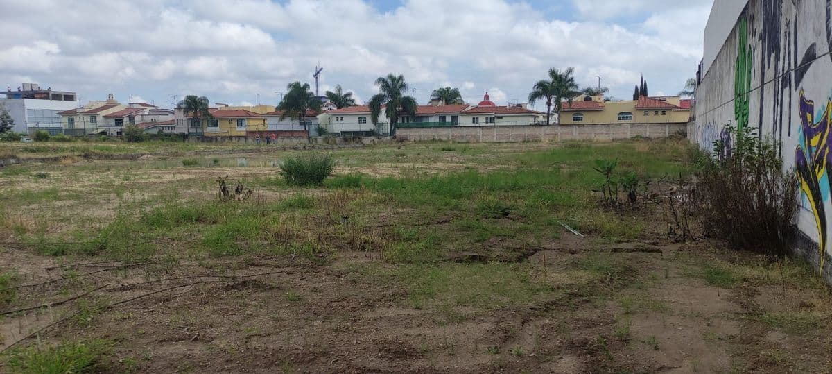Fotos adicionales