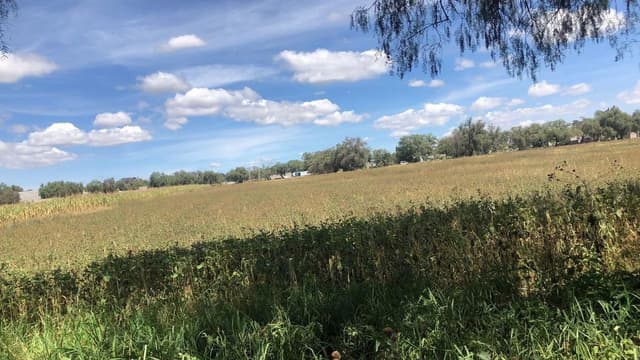 Terreno en Venta en Zumpango